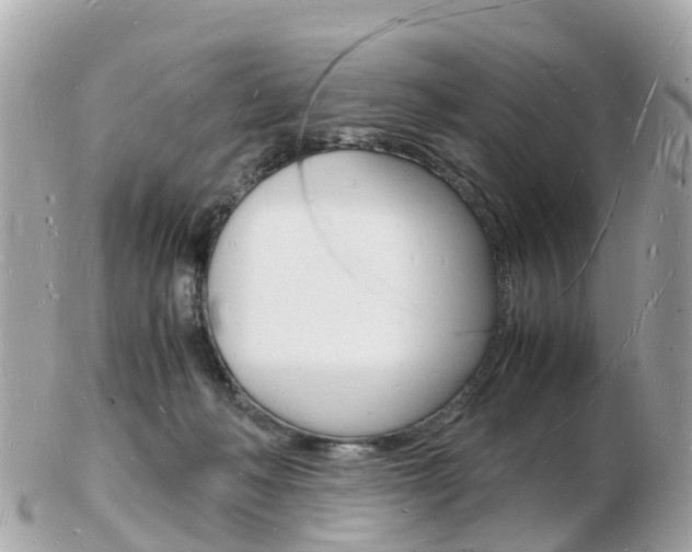 X0000103290222200808291115