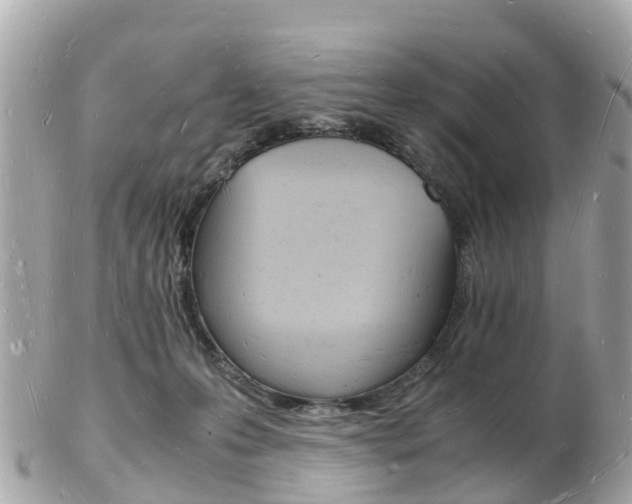 X0000103290223200808291115