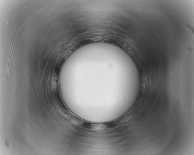 X0000103290226200808291115