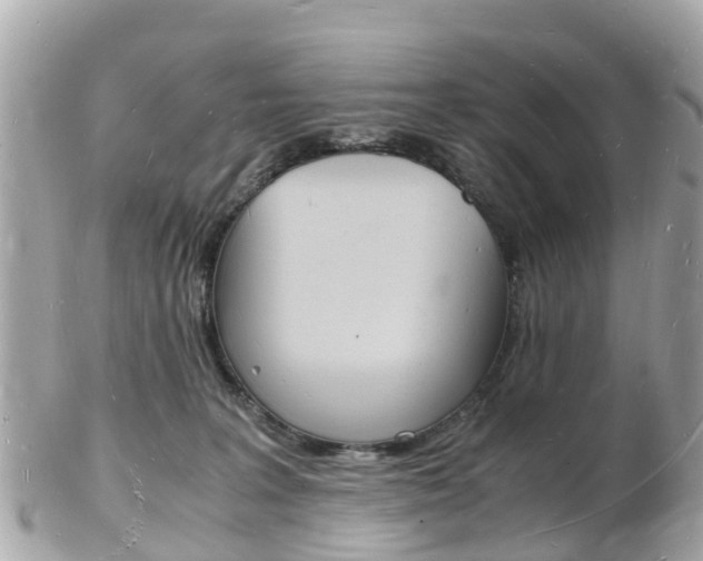 X0000103290227200808291115