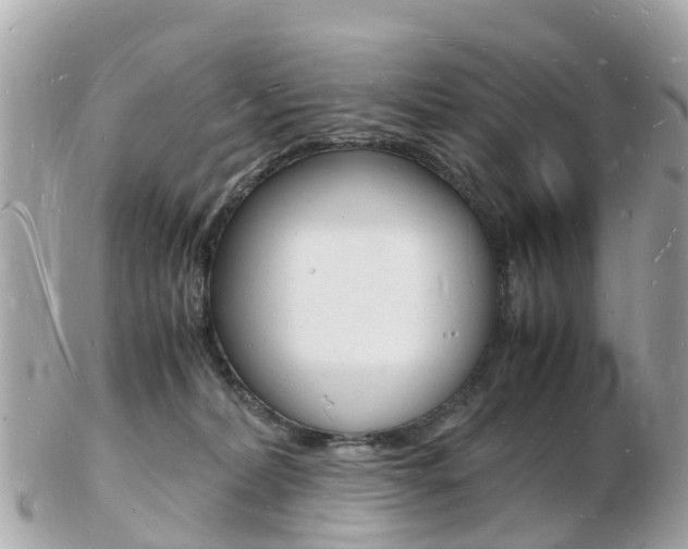 X0000103290228200808291115