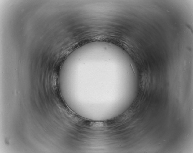 X0000103290230200808291115