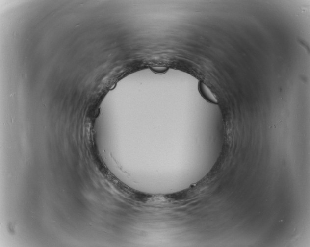 X0000103290231200808291115