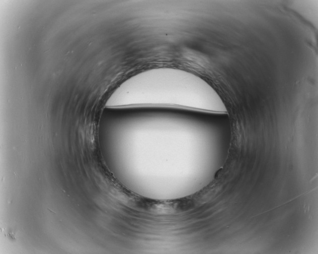X0000103290232200808291115