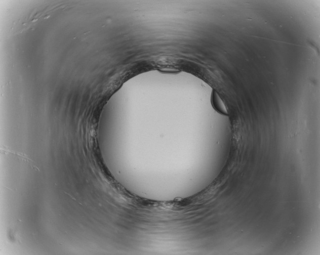 X0000103290235200808291115