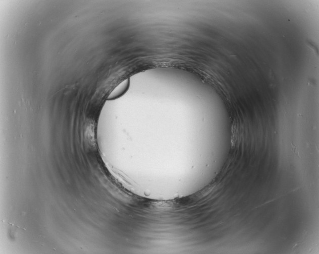 X0000103290238200808291115