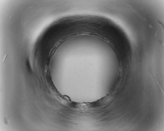 X0000103290239200808291115
