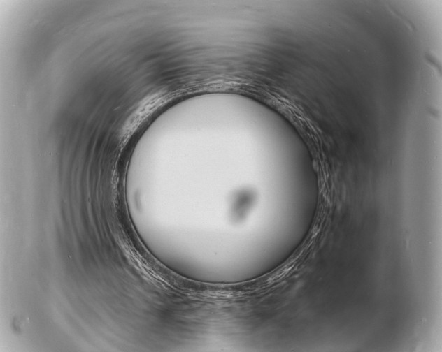 X0000103290242200808291114