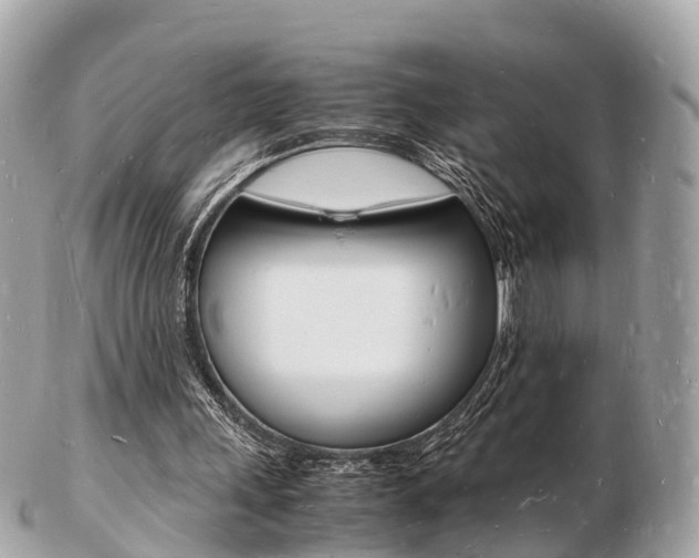 X0000103290243200808291114