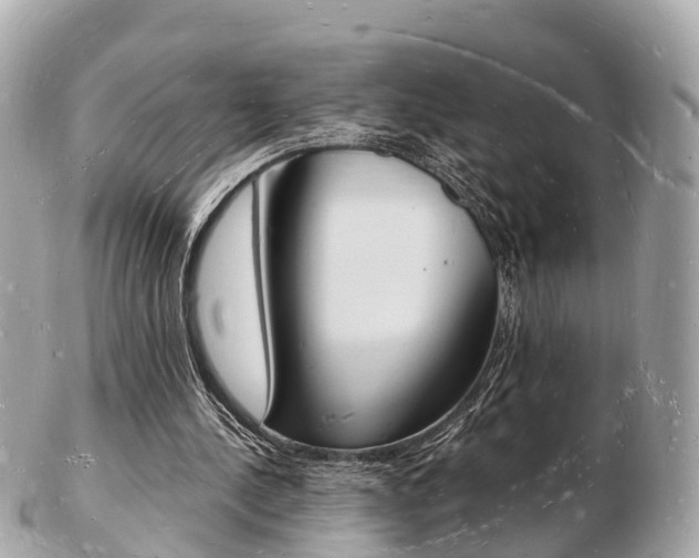X0000103290244200808291114