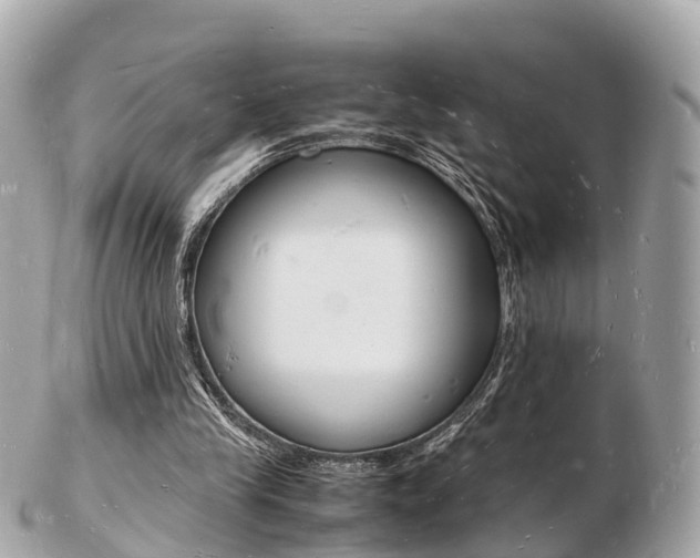 X0000103290245200808291114