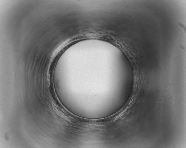 X0000103290246200808291114