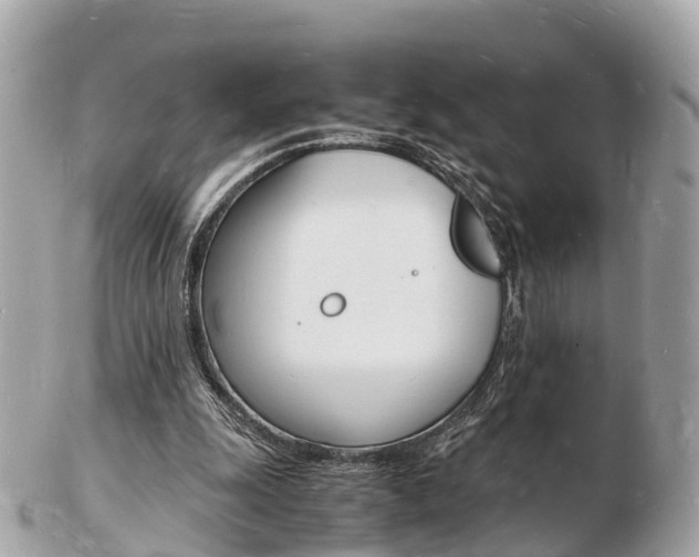 X0000103290247200808291114