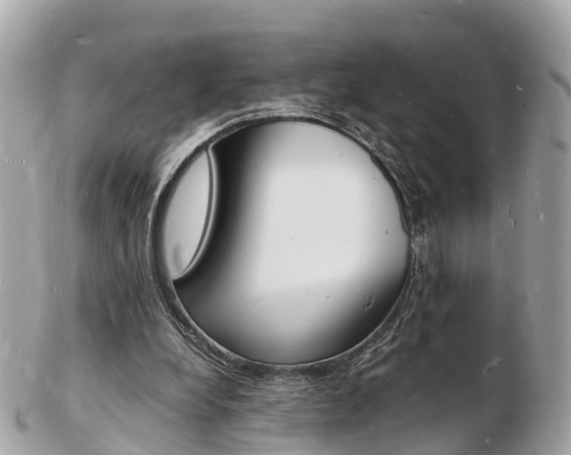 X0000103290248200808291114