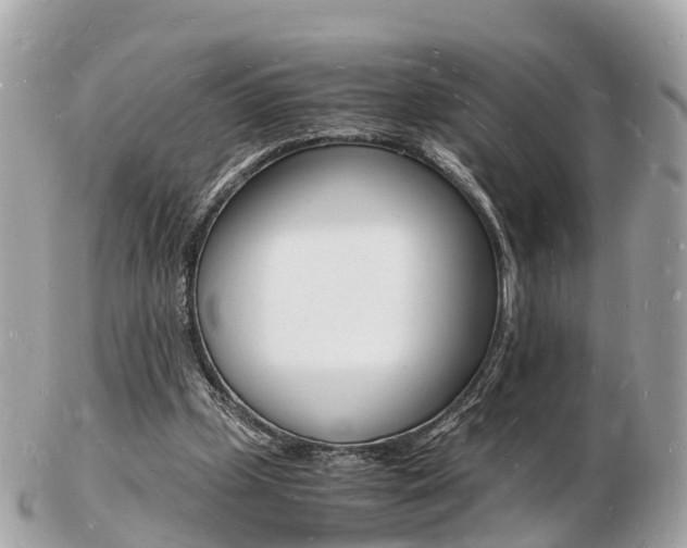 X0000103290249200808291114
