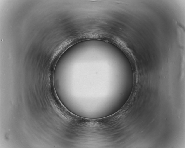 X0000103290250200808291114