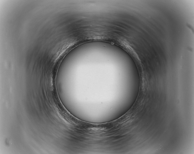 X0000103290251200808291114