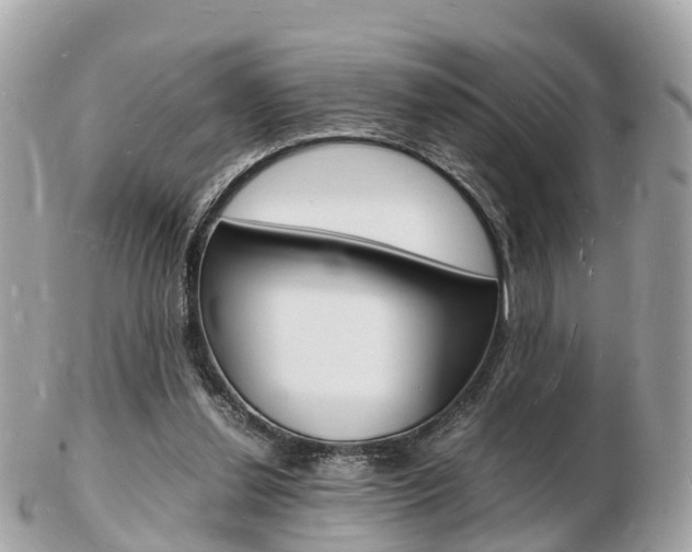 X0000103290252200808291114