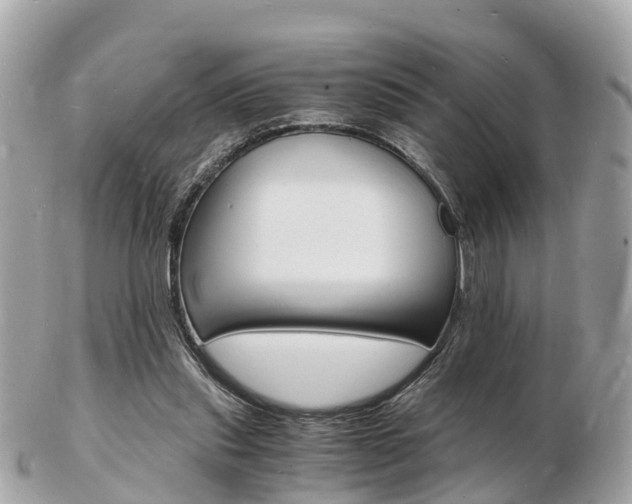 X0000103290253200808291114