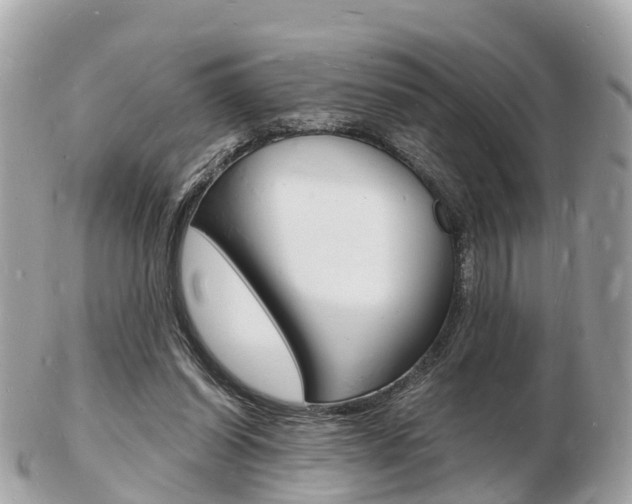 X0000103290254200808291114