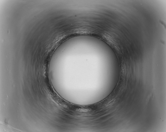 X0000103290255200808291114