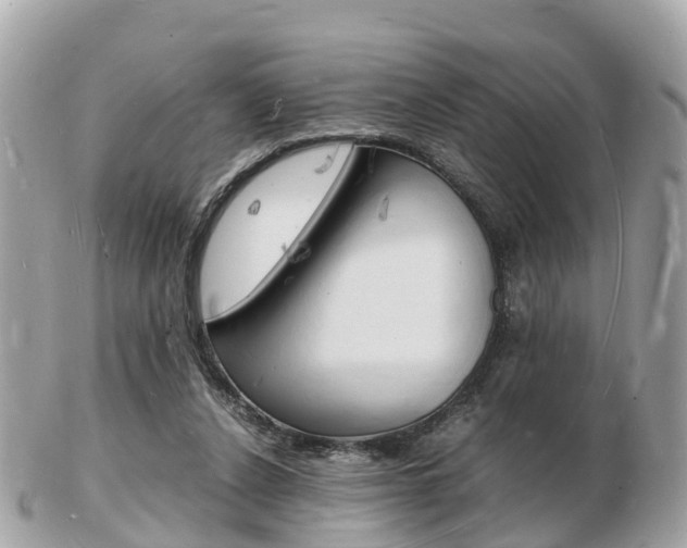 X0000103290256200808291114