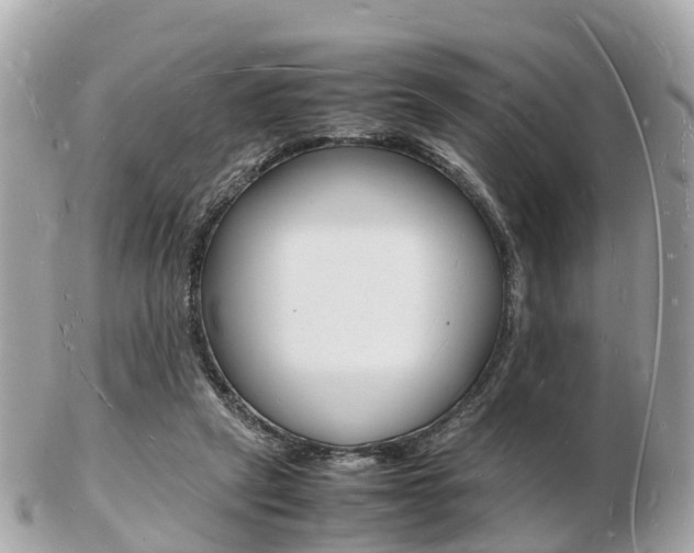 X0000103290257200808291114