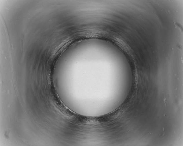 X0000103290258200808291114
