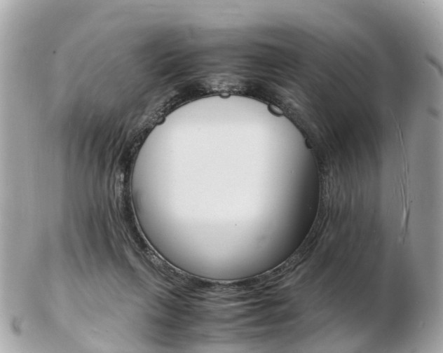 X0000103290263200808291114