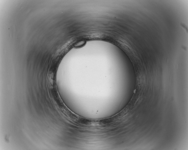 X0000103290264200808291114