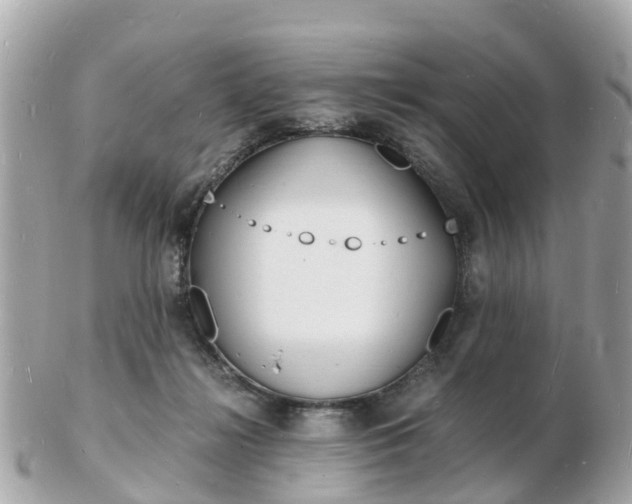 X0000103290268200808291114