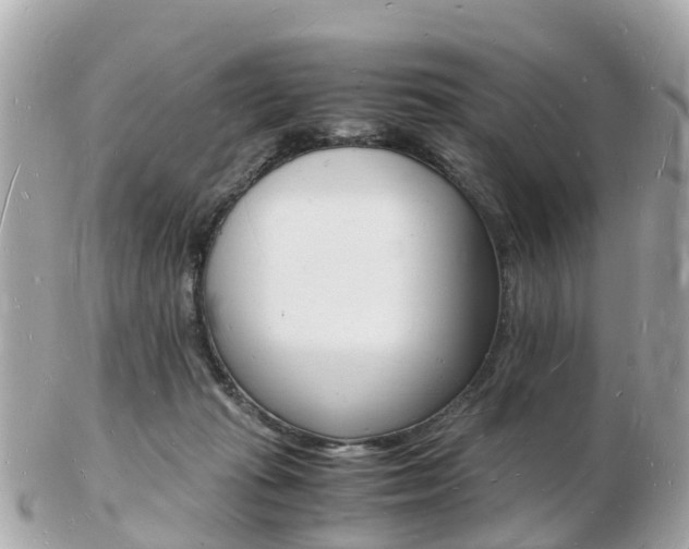 X0000103290269200808291114
