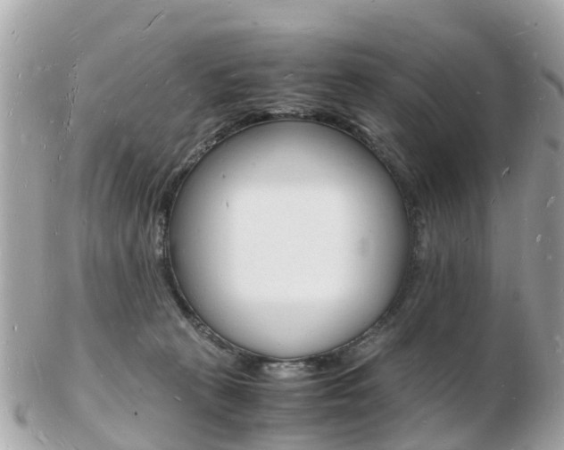 X0000103290273200808291115