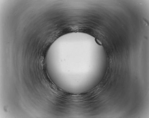 X0000103290275200808291115