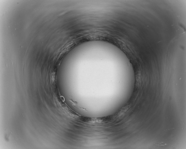 X0000103290278200808291115