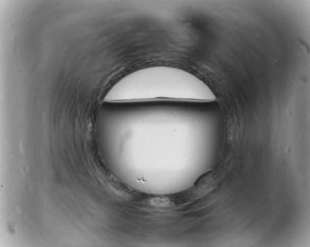 X0000103290279200808291115