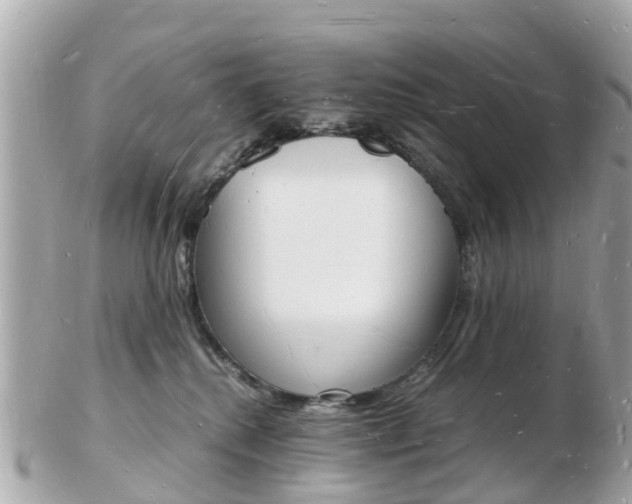 X0000103290280200808291115