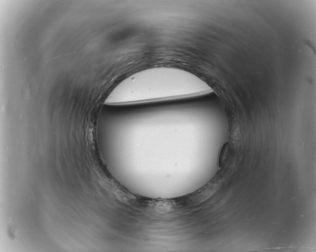 X0000103290282200808291115