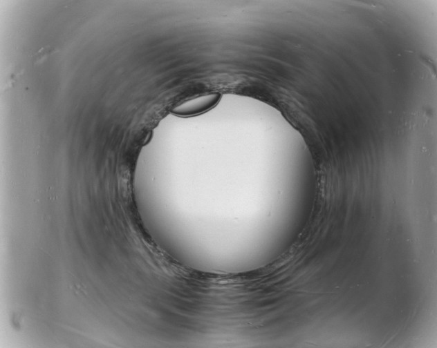 X0000103290283200808291115