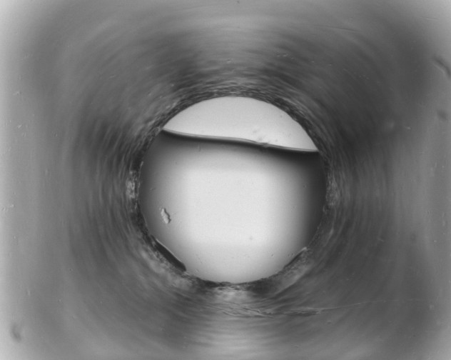 X0000103290284200808291115