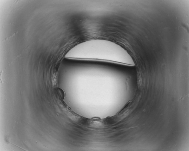 X0000103290285200808291115