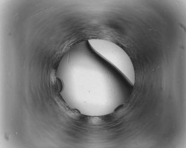 X0000103290287200808291115