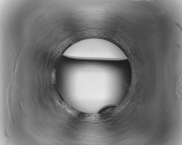 X0000103290288200808291115