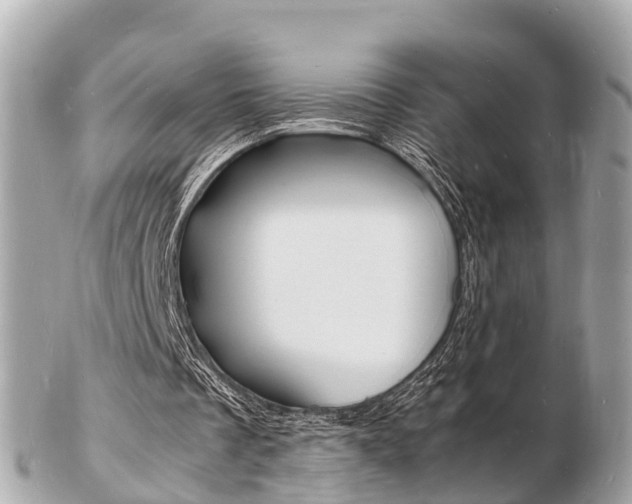 X0000103290289200808291114