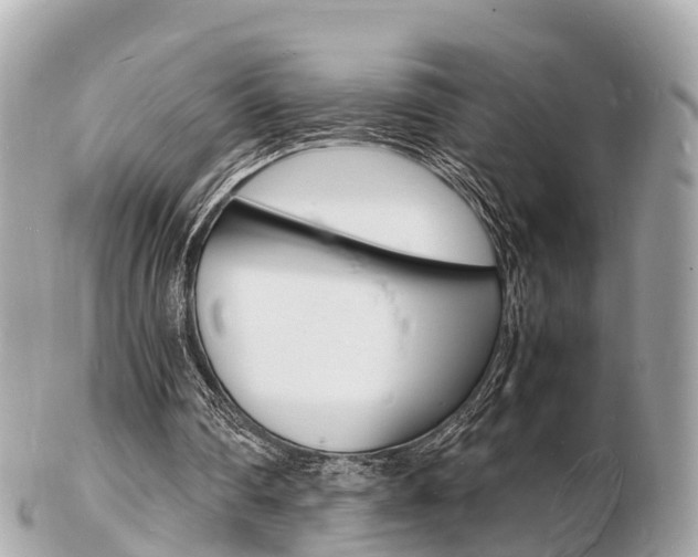 X0000103290290200808291114