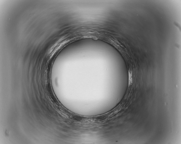 X0000103290291200808291114