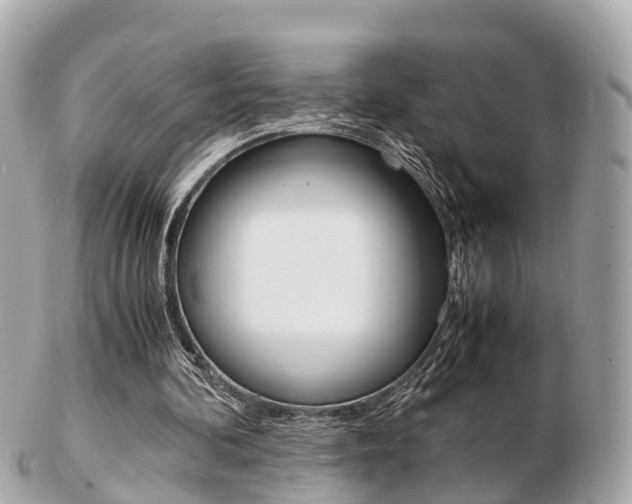 X0000103290292200808291114