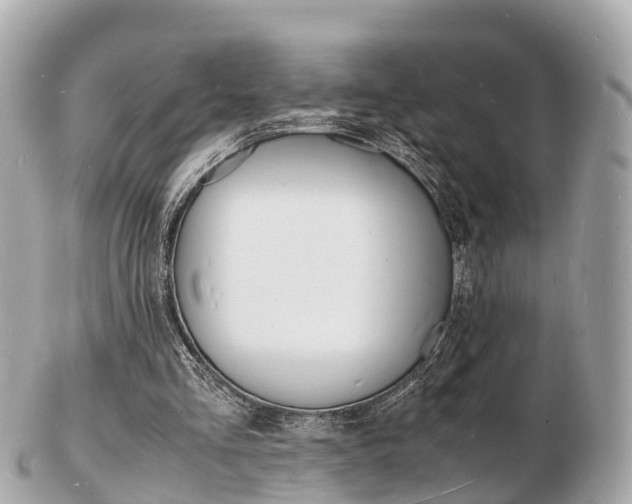 X0000103290293200808291114