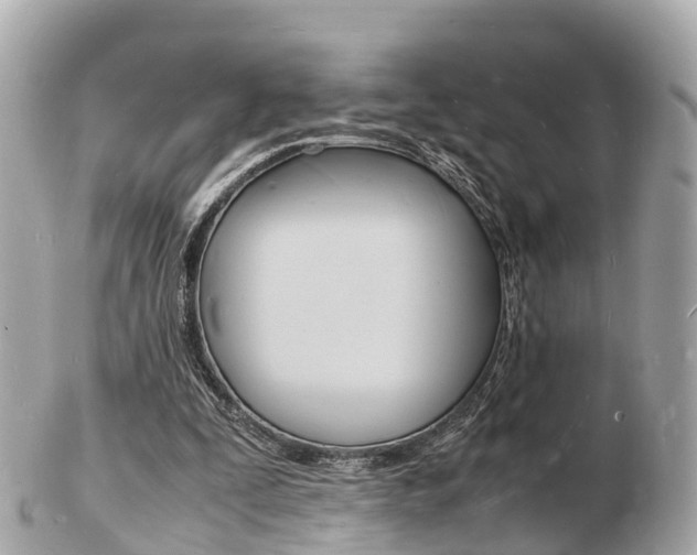 X0000103290295200808291114