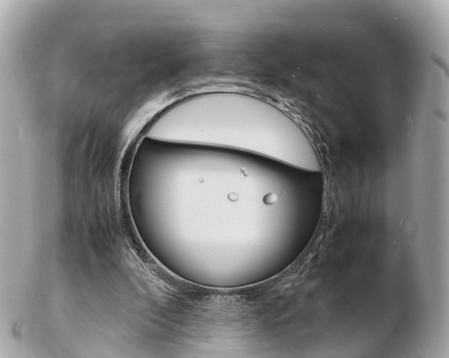X0000103290296200808291114